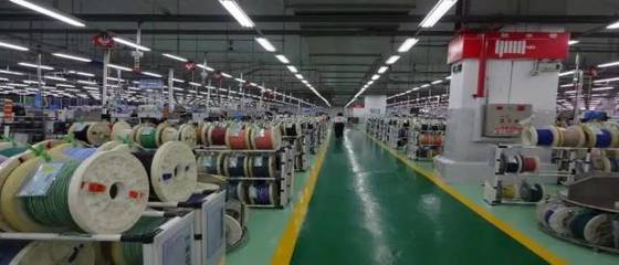 新成立4个党支部，园区“两新”党组织再添生力军——以轮胎产业为例，看党建引领下的高质量发展